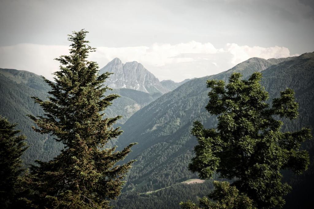 Herol - My Mountain Retreat Luson Εξωτερικό φωτογραφία